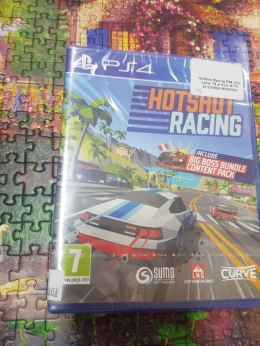 Hotshot Racing PS4 Sony PlayStation 4 (PS4)
