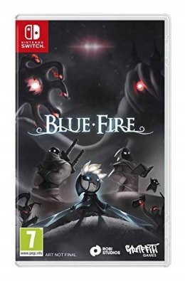 Blue Fire Nintendo Switch