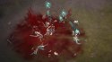 Diablo III: Eternal Collection Sony PlayStation 4 (PS4)