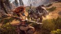 HORIZON ZERO DAWN Sony PlayStation 4 (PS4)