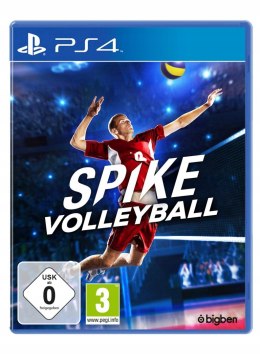 Spike Volleyball Sony PlayStation 4 (PS4)
