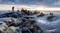 Battlefield 1 Sony PlayStation 4 (PS4)