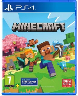 MINECRAFT PS4 PlayStation 4 (PS4)
