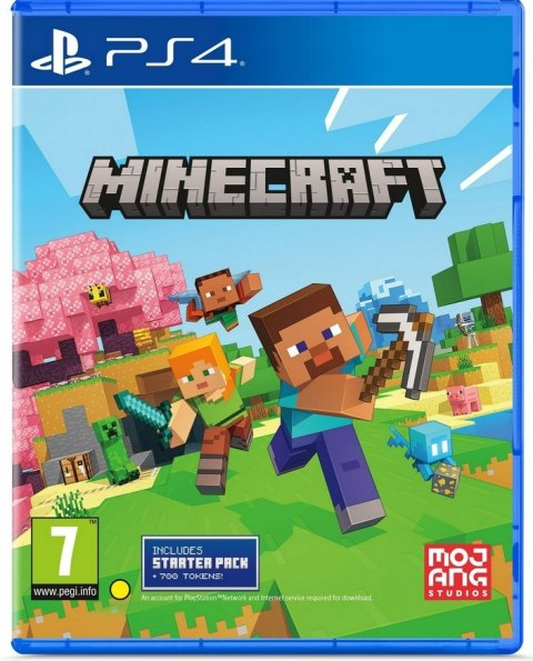 MINECRAFT PS4 PlayStation 4 (PS4)