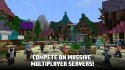MINECRAFT PS4 PlayStation 4 (PS4)
