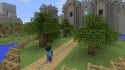 Minecraft PS Vita PlayStation Vita (PSVita)