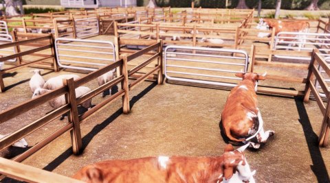 Real Farm Premium Edition Sony PlayStation 5 (PS5)