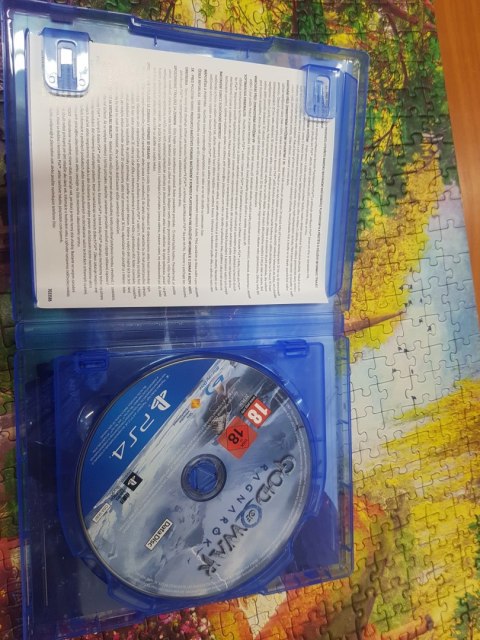 Ragnarok PlayStation 4 (PS4) pudełkowa