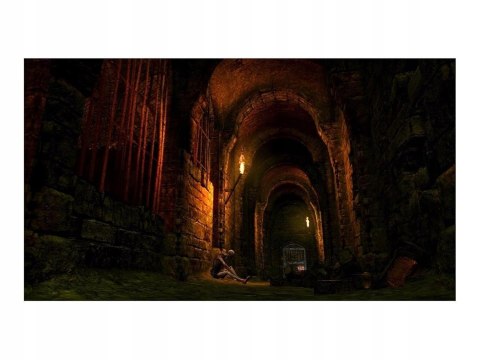 Gra PS4 Dark Souls Trilogy PlayStation 4 (PS4) pudełkowa