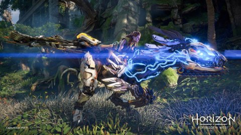 Horizon Forbidden West PlayStation 4 (PS4) pudełkowa