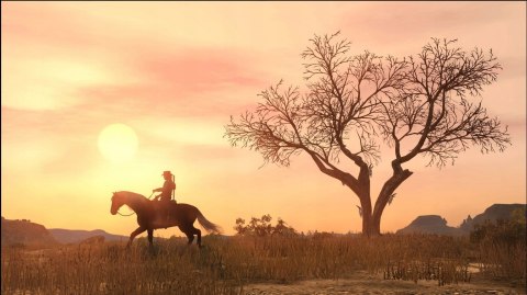 Red Dead Redemption (PS4) PlayStation 4 (PS4)