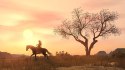 Red Dead Redemption PlayStation 4 (PS4) pudełkowa