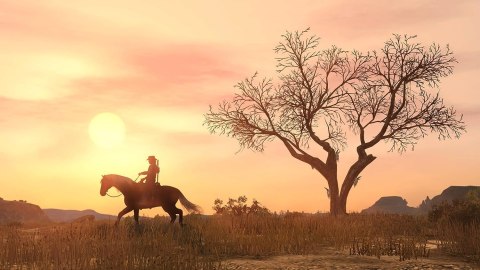 Red Dead Redemption PlayStation 4 (PS4) pudełkowa