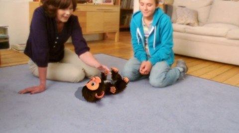 EyePet PlayStation 3 (PS3) pudełkowa