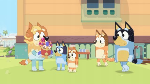 Bluey: The Videogame PL (PS4) PlayStation 4 (PS4) pudełkowa