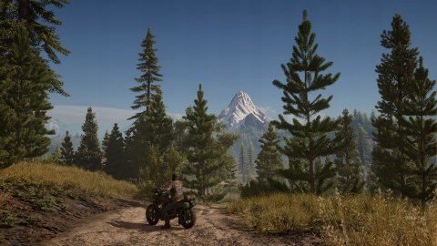 Days Gone PlayStation 4 (PS4) pudełkowa