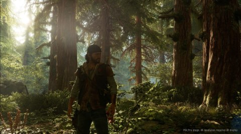 Days Gone PlayStation 4 (PS4) pudełkowa