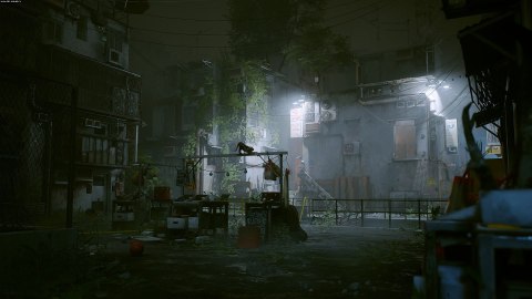 Stray Nintendo Switch