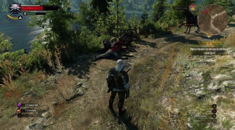 Wiedźmin 3: Dziki Gon GOTY PlayStation 4 (PS4)