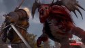 Wiedźmin 3: Dziki Gon Sony PlayStation 5 (PS5)