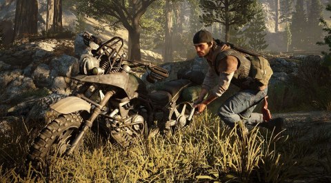 Days Gone PlayStation 4 (PS4) pudełkowa