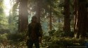Days Gone PlayStation 4 (PS4) pudełkowa