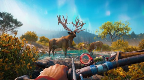 Far Cry: New Dawn PlayStation 4 (PS4) pudełkowa