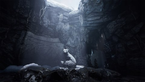 Spirit Of The North PS5 PlayStation 5 (PS5) pudełkowa