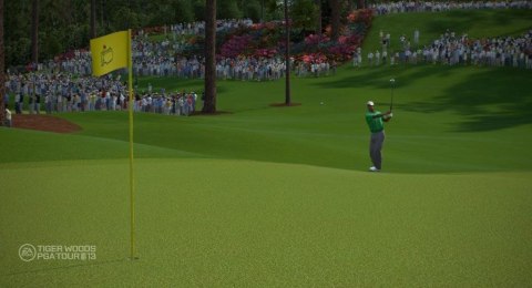 Tiger Woods PGA Tour 13 PlayStation 3 (PS3)