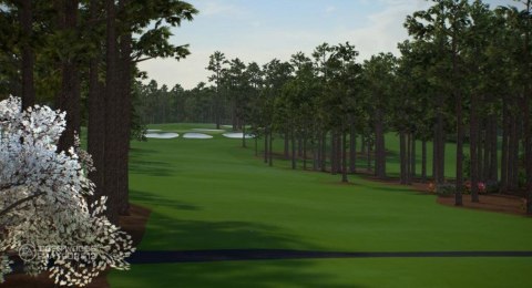 Tiger Woods PGA Tour 13 PlayStation 3 (PS3)