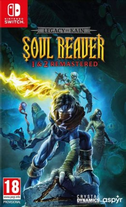 Legacy of Kain: Soul Reaver 1 & 2 Remastered Nintendo Switch pudełkowa