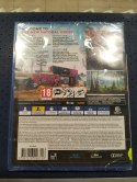GRA NA PS4 FARCRY NEW DAWN PlayStation 4 (PS4) pudełkowa