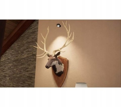 HUNTING SIMULATOR 2 PlayStation 5 (PS5) pudełkowa