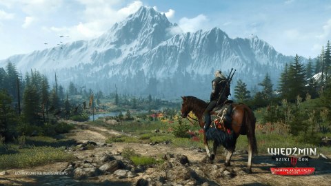 The witcher 3 wild hunt PlayStation 5 (PS5) pudełkowa