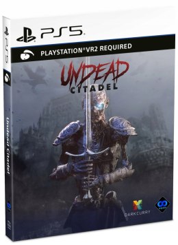 Undead Citadel PlayStation 5 (PS5) pudełkowa