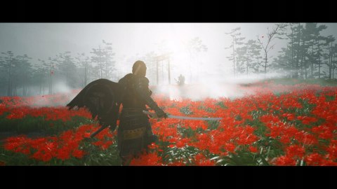 Ghost of Tsushima: Director's Cut PlayStation 5 (PS5) pudełkowa