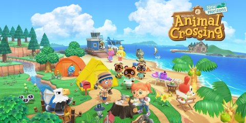 Animal Crossing New Horizons Nintendo Switch pudełkowa