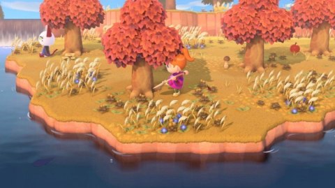 Animal Crossing New Horizons Nintendo Switch pudełkowa