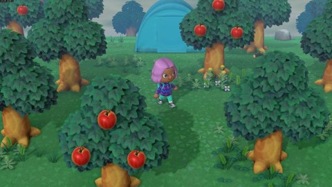 Animal Crossing New Horizons Nintendo Switch pudełkowa