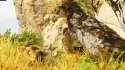 Ark: Survival Ascended (PS5) PlayStation 5 (PS5) pudełkowa