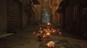 Stray PlayStation 4 (PS4) pudełkowa