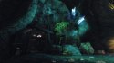 Risen Nintendo Switch