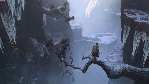 Sekiro Shadows Die Twice PlayStation 4 (PS4) pudełkowa