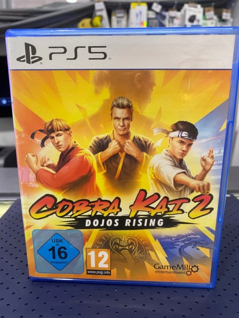 Cobra Kai 2 Dojos Rising PlayStation 5 (PS5) pudełkowa