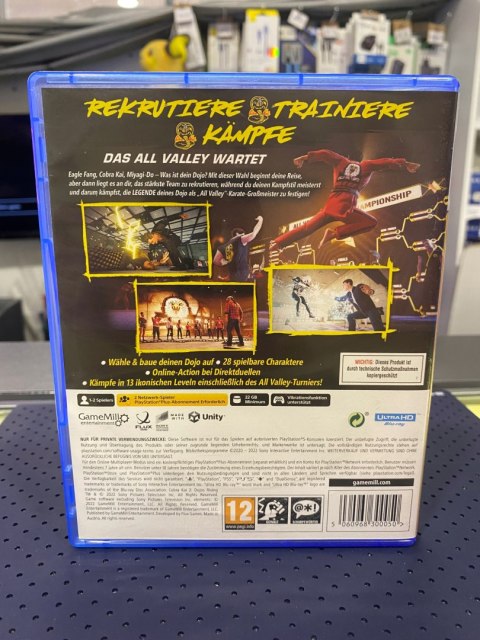 Cobra Kai 2 Dojos Rising PlayStation 5 (PS5) pudełkowa
