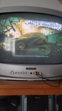 Need for Speed: Most Wanted (PS2) PlayStation 2 pudełkowa
