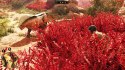 GreedFall: The Dying World PlayStation 5 (PS5) pudełkowa
