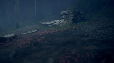 Martha is Dead PlayStation 5 (PS5) pudełkowa