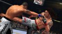 UFC 2009 Undisputed Xbox 360 pudełkowa