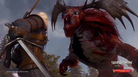 Wiedźmin 3: Dziki Gon Xbox Series X pudełkowa